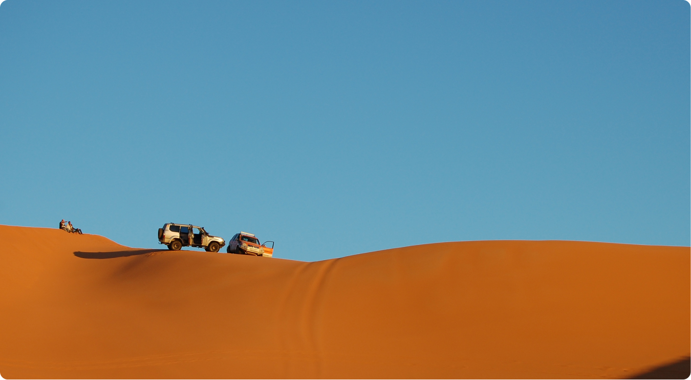 Safari Adventure