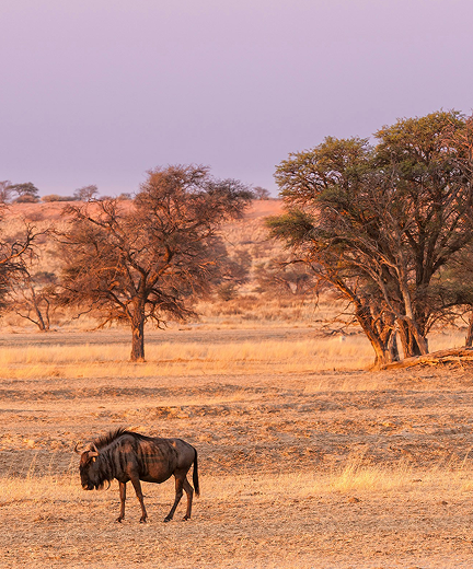 Cultural experiences in Namibia