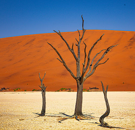 Desert adventure in Namibia